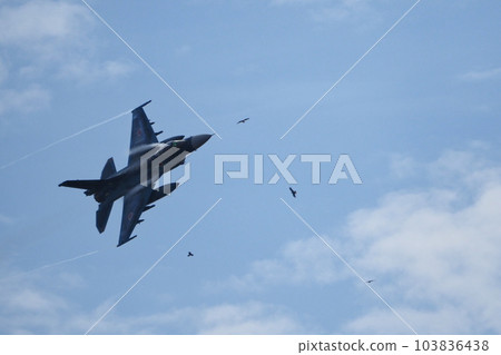 F-2 fighter flying while birds fly F-2 fighter flying while birds fly 103836438