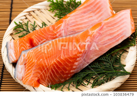 銀鮭魚 銀鮭魚 103836479