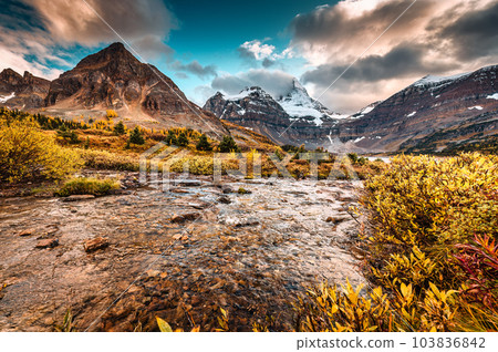 Mount Assiniboine over golden wilderness and stream flowing in provincial park Mount Assiniboine over golden wilderness and stream flowing in provincial park 103836842