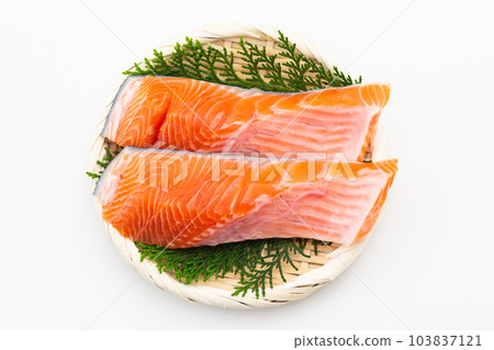 銀鮭魚 銀鮭魚 103837121