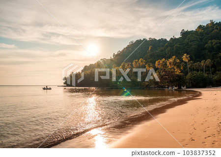 Tropical sea beach and palm forest in summer at Koh Kood Island 103837352