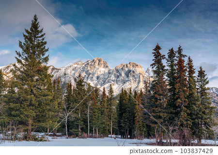 Rocky mountains with pine forest in winter park Rocky mountains with pine forest in winter park 103837429