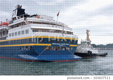 mosaic tile cruise ship 103837511