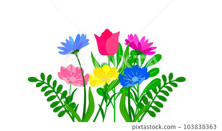 colorful flowers on the white background 103838363