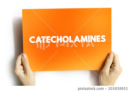 Catecholamines is a monoamine neurotransmitter, an organic compound that has a catechol and a side-chain amine, text concept on card 103838931