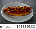 Standard hot dog with mustard and ketchup (up) 103839333