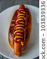 Standard hot dog with mustard and ketchup (vertical) 103839336