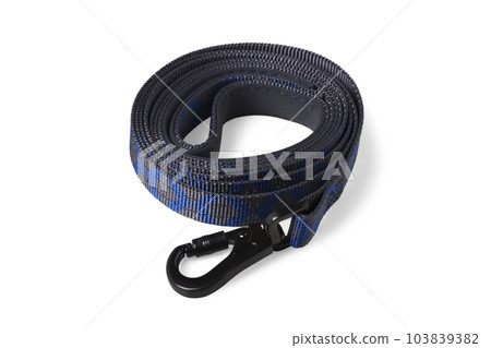 Leash for dogs 103839382