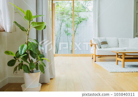 Interior 103840311