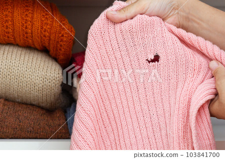 Cropped woman hands holding woolen knitted cloth with hole eaten by moth over wardrobe with stacks cloth on shelf 103841700