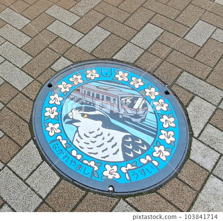 Manhole 103841714