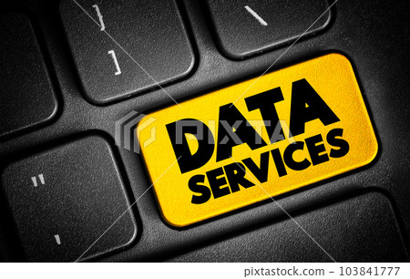 Data Services text button on keyboard, concept background 103841777