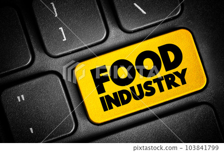 Food Industry text button on keyboard, concept background 103841799