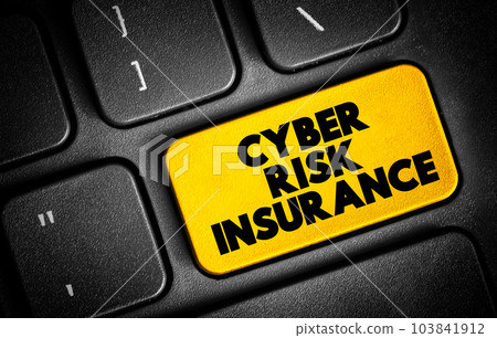 Cyber Risk Insurance text button on keyboard, concept background Cyber Risk Insurance text button on keyboard, concept background 103841912