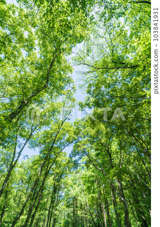 Fresh green and eco image 103841931
