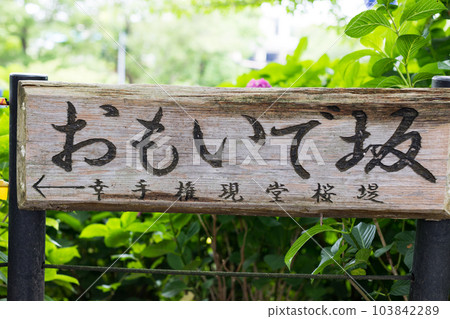 埼玉縣佐手市權現堂堤見佐手繡球花節 103842289