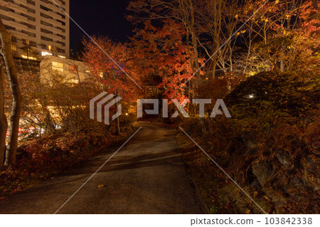 草津溫泉、西之河原公園燈火通明的夜景 草津溫泉、西之河原公園燈火通明的夜景 103842338