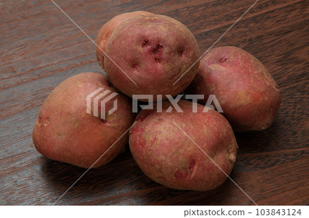 Potato native to South America, Andean red Potato native to South America, Andean red 103843124