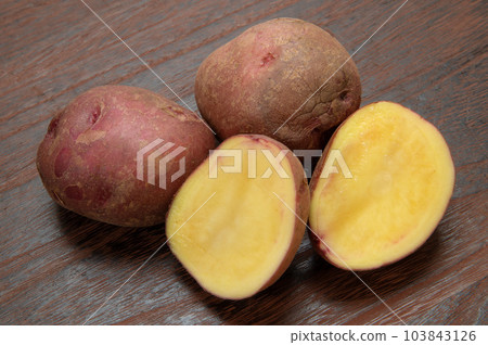 Potato native to South America, Andean red Potato native to South America, Andean red 103843126