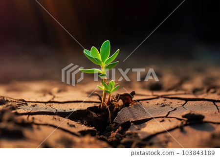 Green sprout germinated in dry soil. 103843189