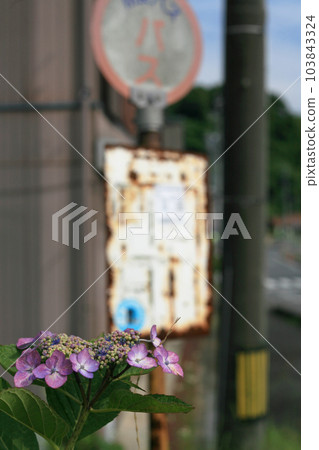 Bus stop in front of the station 103843324