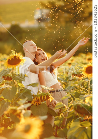 Young loving couple is kissing in a sunflower field. Portrait of couple posing in summer in field. Young loving couple is kissing in a sunflower field. Portrait of couple posing in summer in field. 103843625