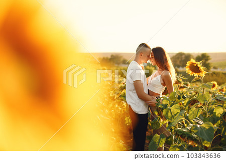Young loving couple is kissing in a sunflower field. Portrait of couple posing in summer in field. Young loving couple is kissing in a sunflower field. Portrait of couple posing in summer in field. 103843636