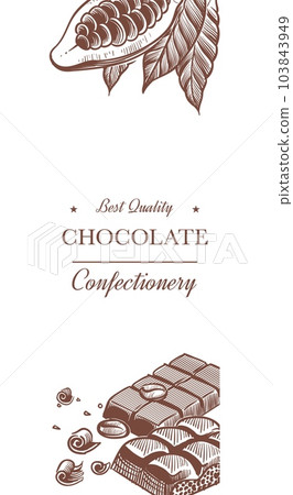 Cocoa and chocolate banner. Sweet product and plant with leaves. Sketch style drawing, vertical poster, confectionery snack wrapping paper design, vector isolated illustration Cocoa and chocolate banner. Sweet product and plant with leaves. Sketch style drawing, vertical poster, confectionery snack wrapping paper design, vector isolated illustration 103843949