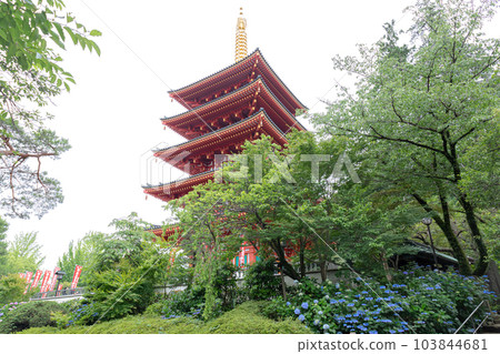 Hino City, Tokyo Takahata Fudoson Kongo-ji Temple five-storied pagoda and hydrangeas Hino City, Tokyo Takahata Fudoson Kongo-ji Temple five-storied pagoda and hydrangeas 103844681