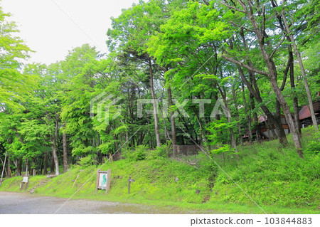 栃木縣立森林露營地 / 栃木縣矢板市 栃木縣立森林露營地 / 栃木縣矢板市 103844883