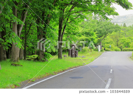 Tochigi Prefectural Forest / Yaita City, Tochigi Prefecture Tochigi Prefectural Forest / Yaita City, Tochigi Prefecture 103844889