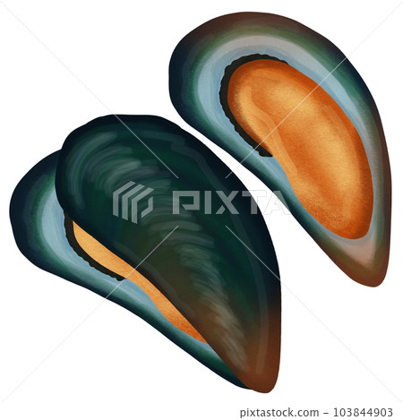 cute mussels for sea food cute mussels for sea food 103844903