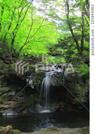 栃木縣立森林宮川谷總造瀑布/栃木縣矢板市 103844962