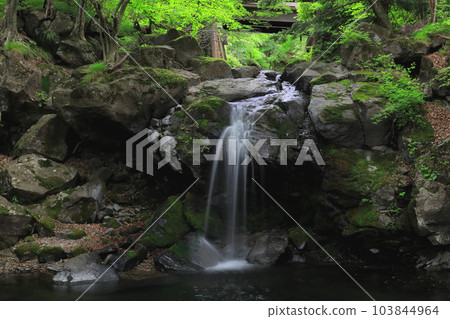 Tochigi Prefectural Forest Miyagawa Valley Sozo Falls/Yaita City, Tochigi Prefecture Tochigi Prefectural Forest Miyagawa Valley Sozo Falls/Yaita City, Tochigi Prefecture 103844964