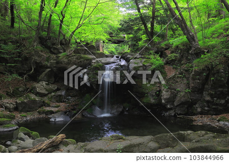 Tochigi Prefectural Forest Miyagawa Valley Sozo Falls/Yaita City, Tochigi Prefecture 103844966
