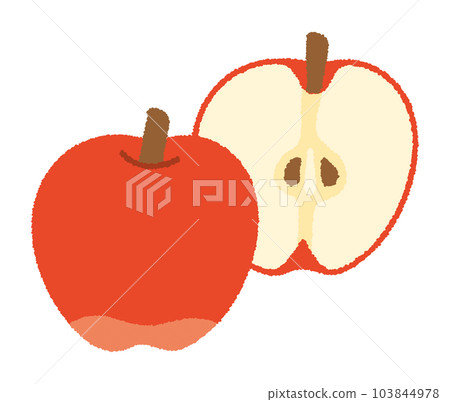 Hand drawn vector illustration of an apple Hand drawn vector illustration of an apple 103844978