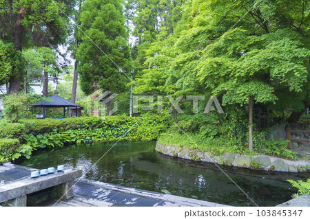 [Kumamoto Prefecture] Aso Shirakawa Water Source Selected as One of Japan's Top 100 Water Sources 103845347