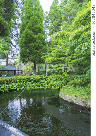 [Kumamoto Prefecture] Aso Shirakawa Water Source Selected as One of Japan's Top 100 Water Sources 103845348