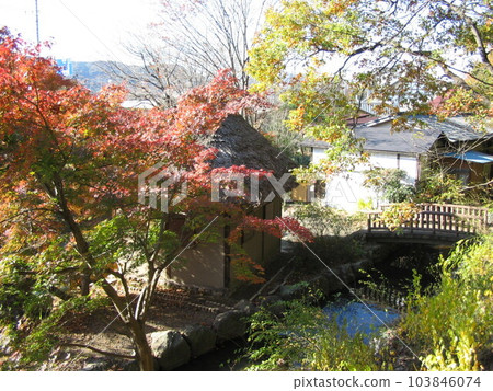 Yamabuki no Sato (Ogose Town, Saitama Prefecture) 103846074