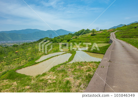 Obasute 水稻梯田 [五月] 103846349
