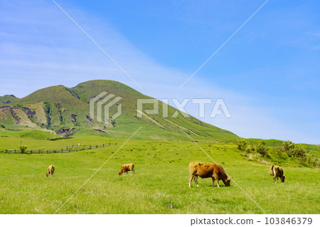 【熊本縣】壯麗的阿蘇火山口草原和放牧風光 103846379