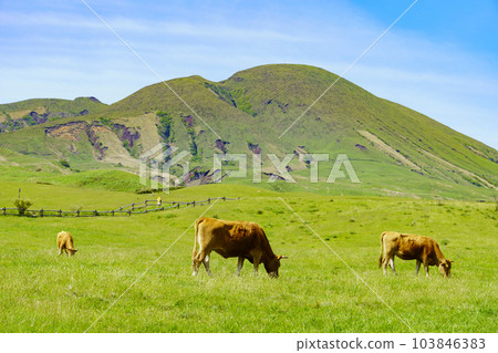 【熊本縣】壯麗的阿蘇火山口草原和放牧風光 【熊本縣】壯麗的阿蘇火山口草原和放牧風光 103846383
