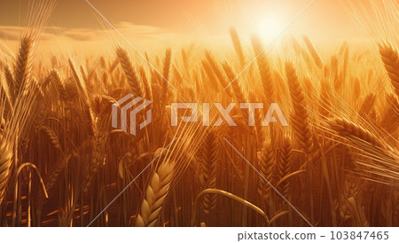 Wheat in open field against sun, industrial product design, rural background. Harvest time. Generative AI 103847465