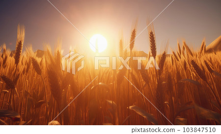 Wheat in open field against sun, industrial product design, rural background. Harvest time. Generative AI 103847510