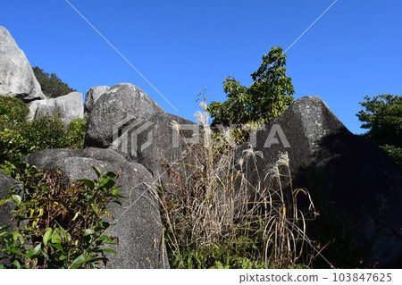 Tojin Dama 巨石 Tojin Dama 巨石 103847625