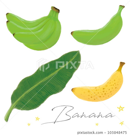 Hand-drawn watercolor set of blue and overripe bananas and leaves Vector Hand-drawn watercolor set of blue and overripe bananas and leaves Vector 103848475
