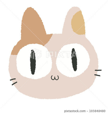 calico cat 103848480