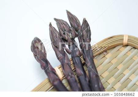 紫蘆筍 紫蘆筍 103848662