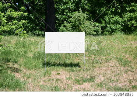 White board set on the ground with green grass against the background of trees and bushes outside on a summer day White board set on the ground with green grass against the background of trees and bushes outside on a summer day 103848885