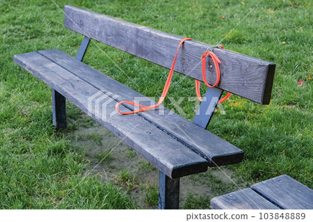 Collar with a leash in the park on a bench. Lost dog. Pet relatives and love concept. Collar with a leash in the park on a bench. Lost dog. Pet relatives and love concept. 103848889